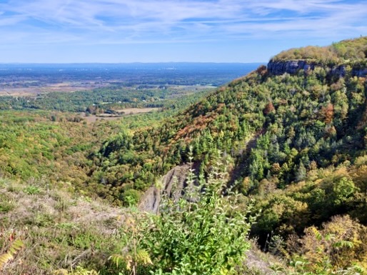 connectivity conservation