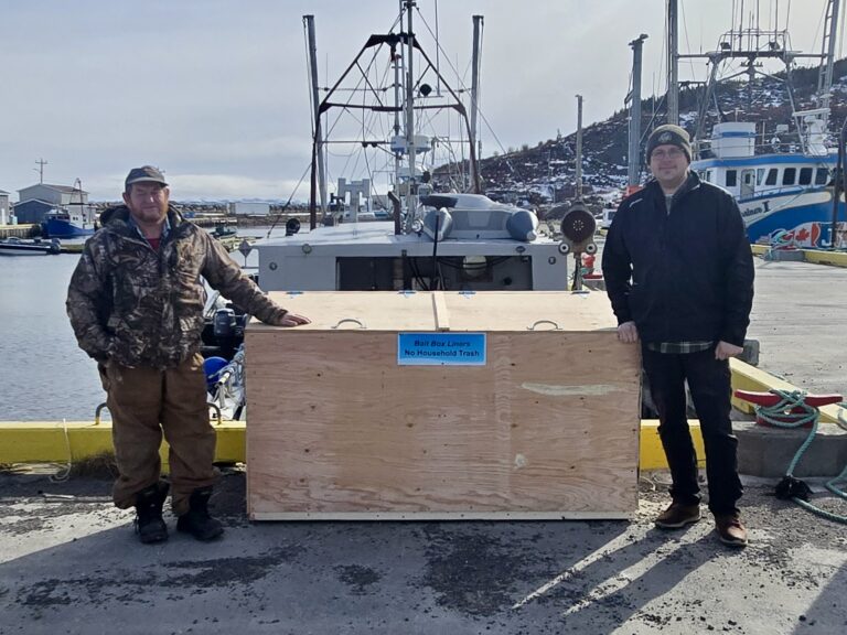 Bait Box Liner Recovery